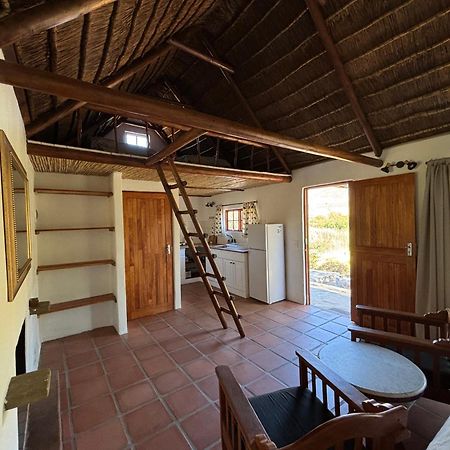 Enjo Nature Farm Clanwilliam Luaran gambar