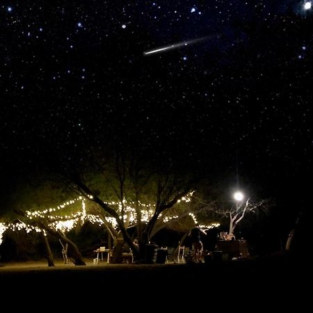 Enjo Nature Farm Clanwilliam Luaran gambar