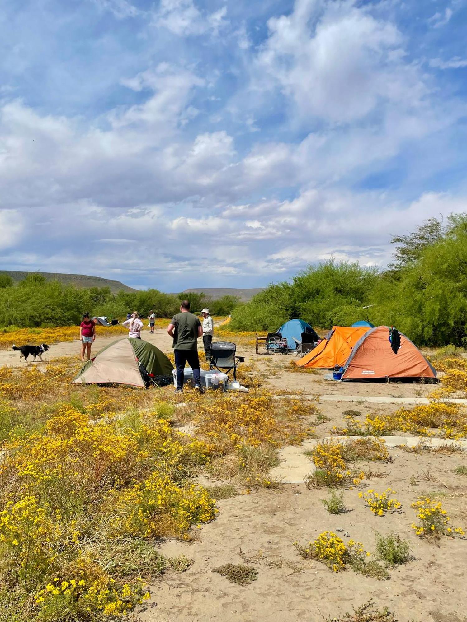 Enjo Nature Farm Clanwilliam Luaran gambar