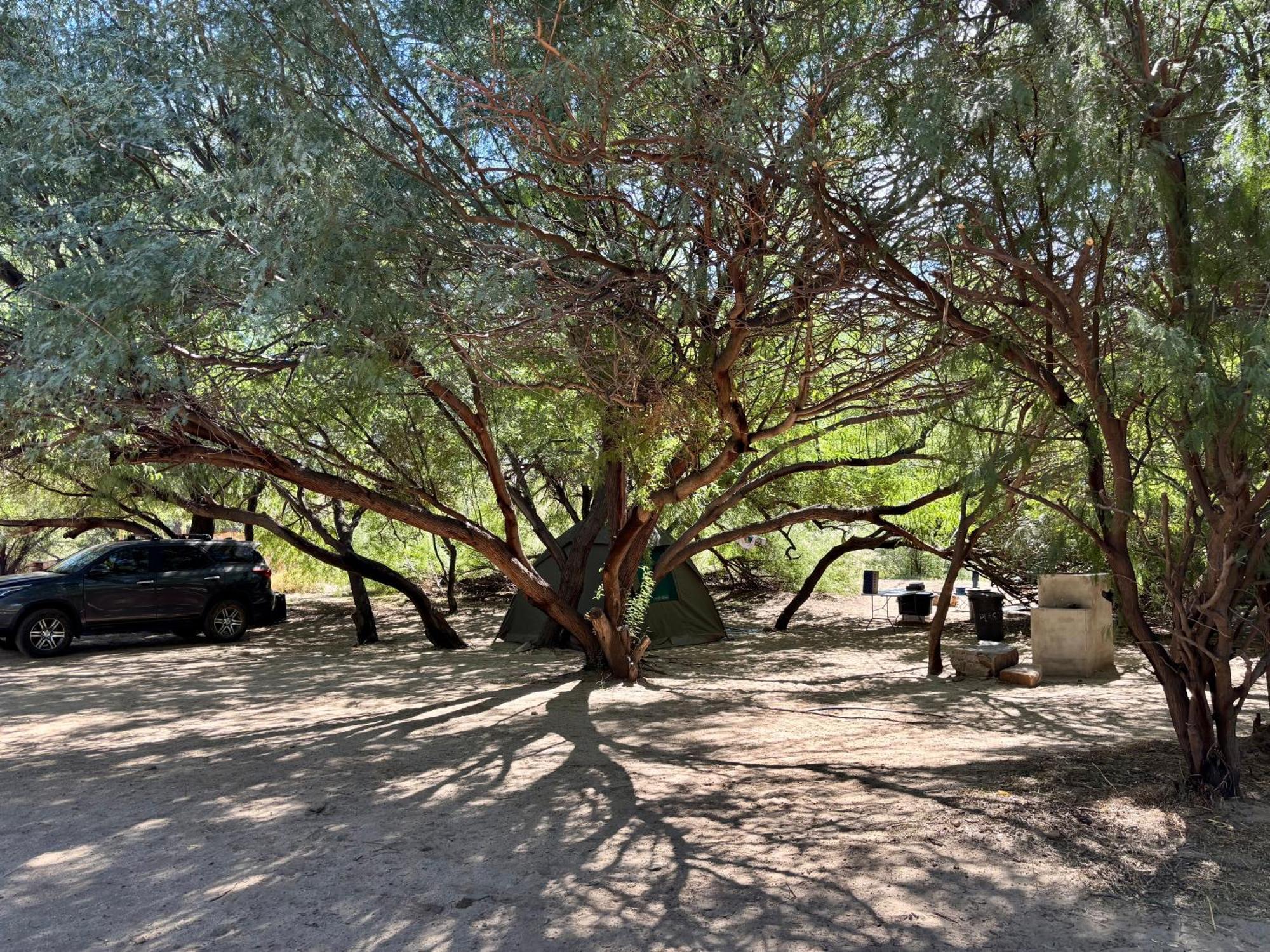 Enjo Nature Farm Clanwilliam Luaran gambar