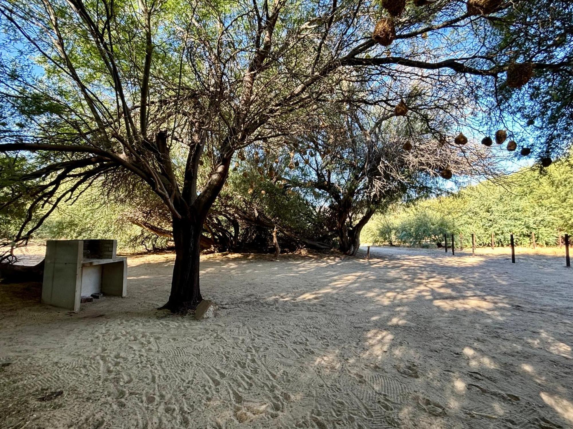Enjo Nature Farm Clanwilliam Luaran gambar