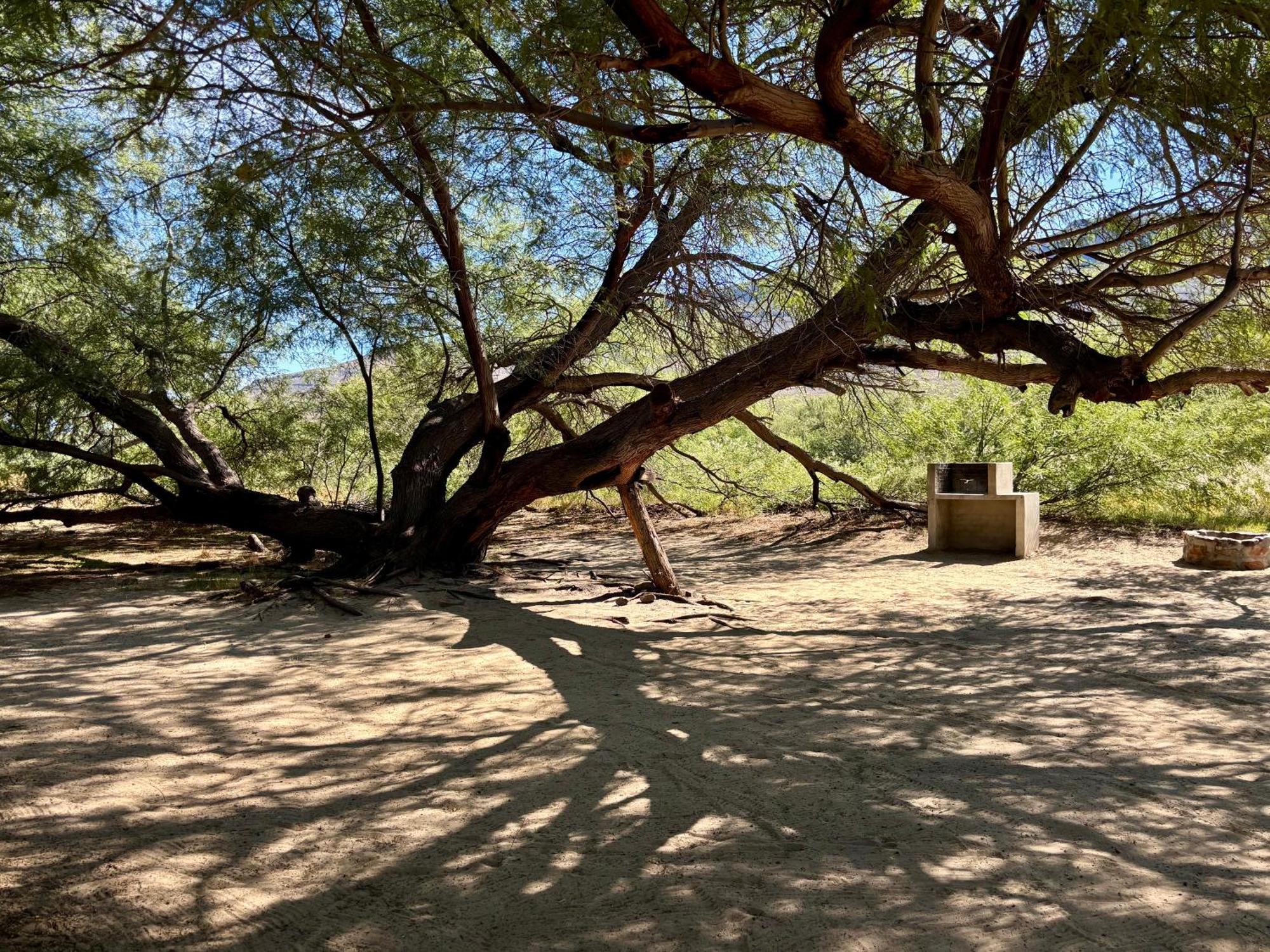 Enjo Nature Farm Clanwilliam Luaran gambar