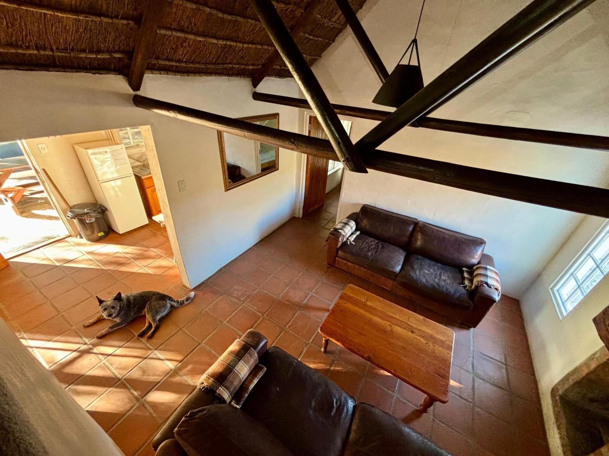 Enjo Nature Farm Clanwilliam Luaran gambar